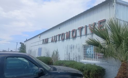 T & M AUTOMOTIVE INC.