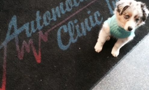 Automotive Clinic Inc