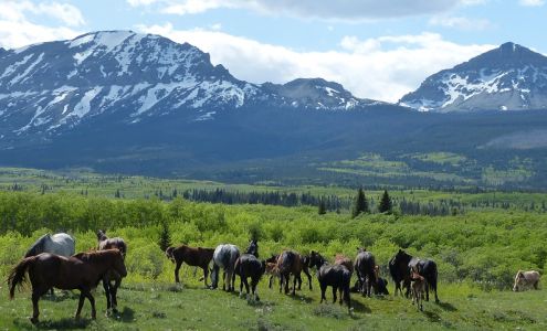 Ron's Auto Refinishers