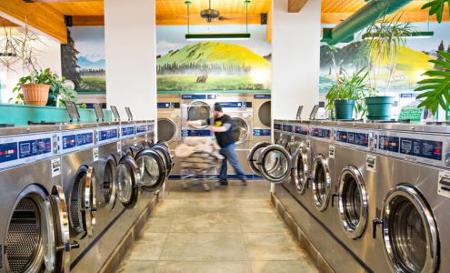 Lemon Laundry and Car Wash