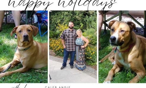 Willy's Auto Body Menomonie