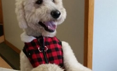 Temstad Automotive Services Inc.