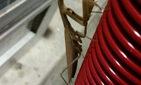 Buggy Bath Car Wash Stockton