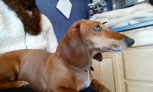 Bart's Auto Repair Milton