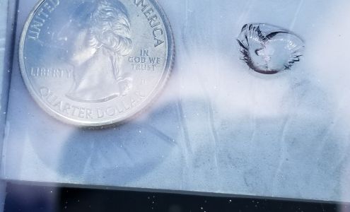 Dove Auto Glass, Express Windshield Repair