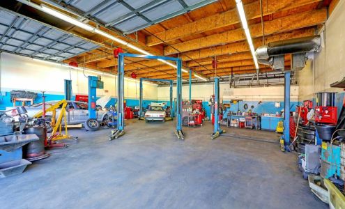 Japanese Car Specialties