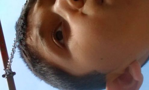 Vicente Auto Carrier Schuyler