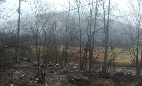 Lawrence Moore/Auto Repairing Cavendish