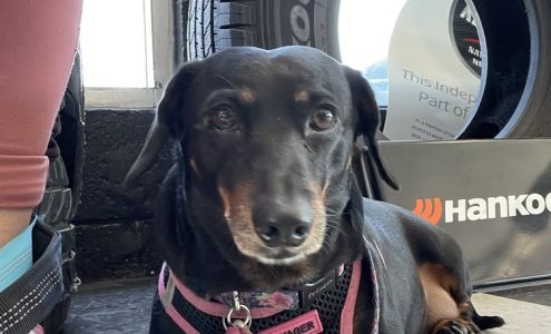 Bruce's Tire & Auto Service Los Banos