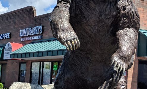 Brown Bear Car Wash