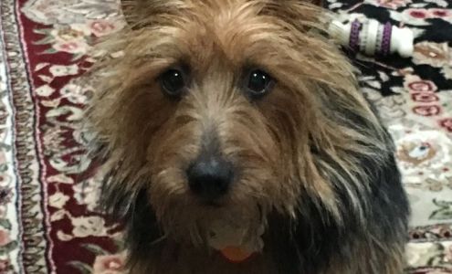 SIXT Rent a Car Seattle Int Airport