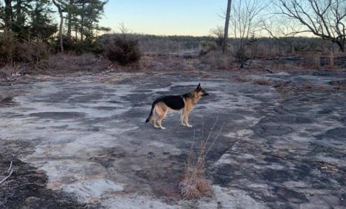 Asset Recovery & Towing Golden