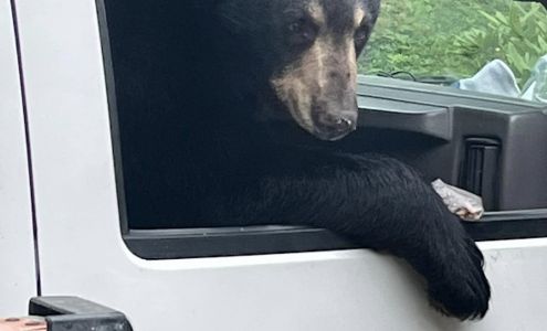 American Plate Glass Claremont