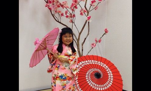 Hawaii Collision Center