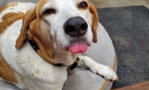 Sanders Garage of Jacksonville