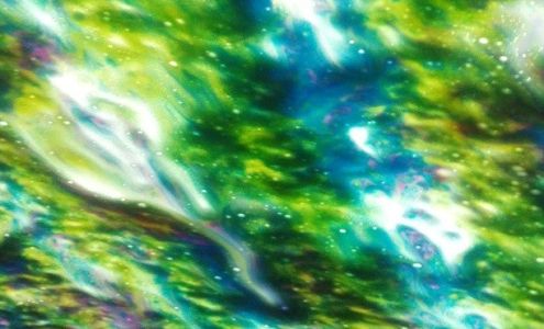 Wash-N-Go Inc