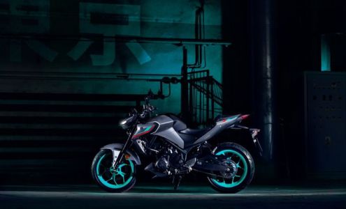 Golden Spike Powersports Idaho Ashton