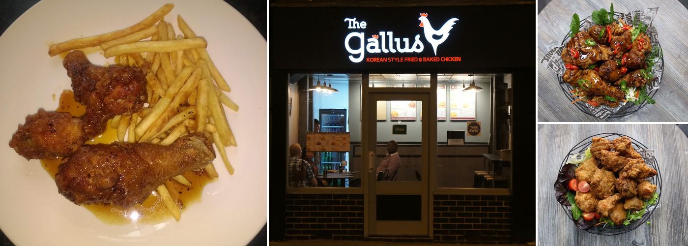 The Gallus