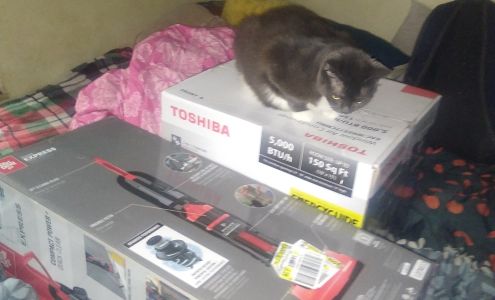 Houdini's forklift repair