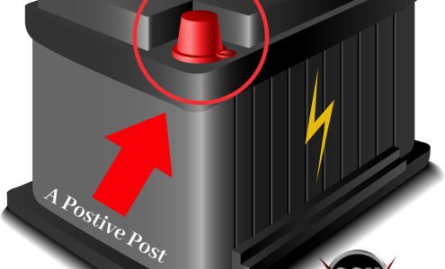 Scv Import & Domestic