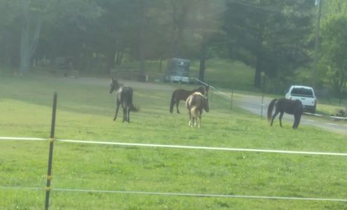 Berry's Auto Services