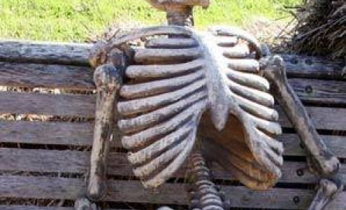 Tressler's Truck & Auto Sales