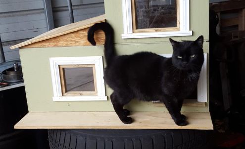 Professional Automotive Services