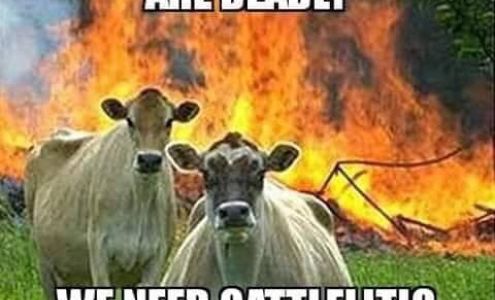 Golden Rule Alignment & Muffler Roswell