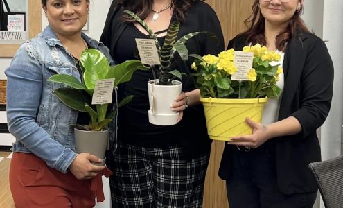 Krumland Co LLC Roswell