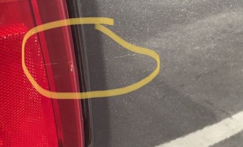 Cushman Paint and Body