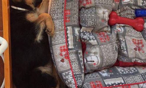 Ultimate Shine Auto Wash