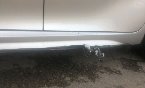 Rainforest Car Wash Cleveland Heights