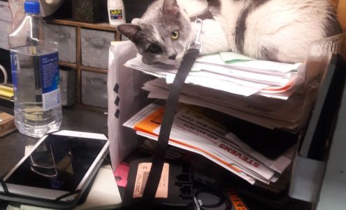 Empire Auto Service Prospect Park