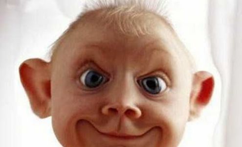 Car Wash Plaza Lyons Park