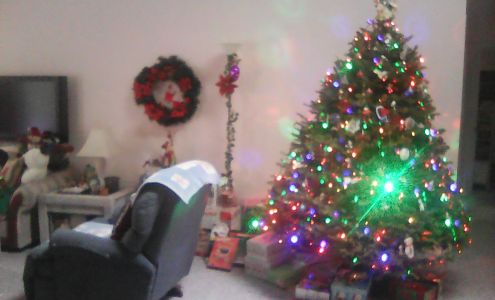 Mitchell's Mobile Lube