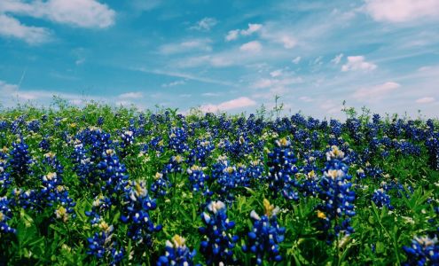 Bill Day Tire Center