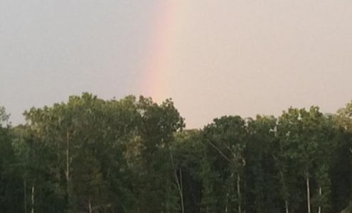 Milan Livestock Wasout Milan