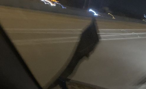 New Southwest Car Care