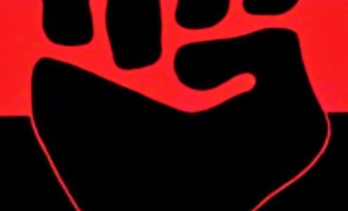 Carolina Bred Auto Sales