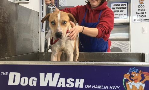 The CAR WASH on Hamlin Hwy. & DOG WASH Too...