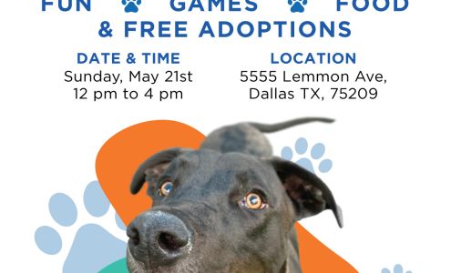 Clay Cooley Nissan Dallas