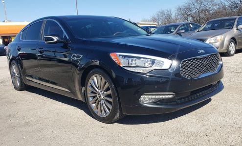 No Horsing Around Auto