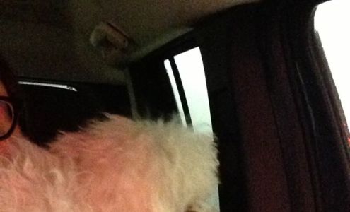 Foam Zone Stillwater