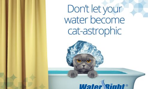 Canterbury Pump Services