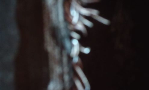 Expressway Fina & Tire