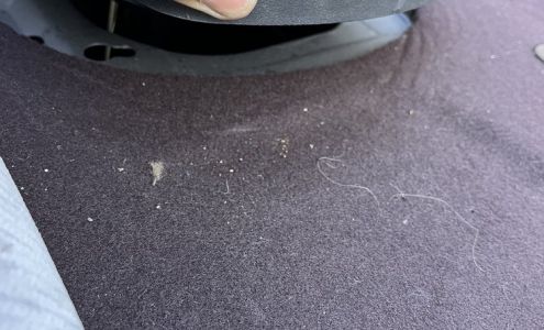 Milex Complete Auto Care - Mr. Transmission