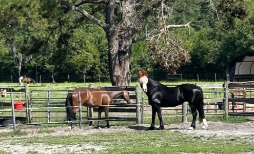 Penney Farms Auto Services Penney Farms