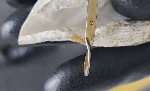 Principle BMW of San Antonio San Antonio