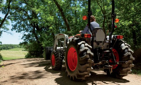 Bobcat of Central Oregon