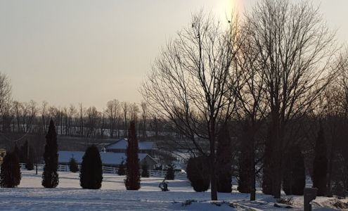 LJH Repair LLC Dundee